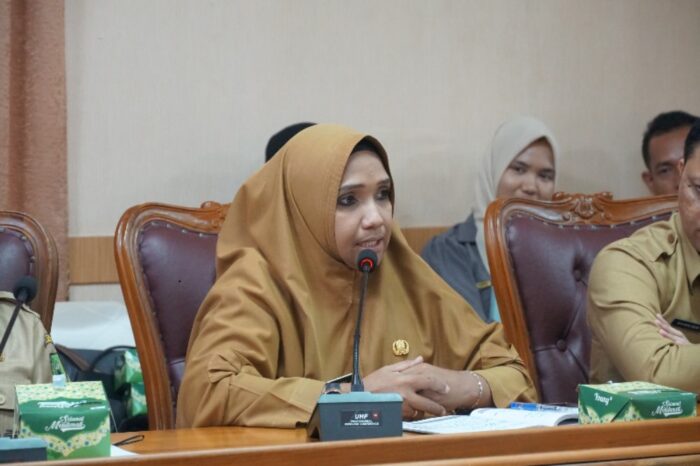 Read more about the article Sekdis Kominfo Hadiri Rapat Finalisasi Natuna Geopark Marathon 2024