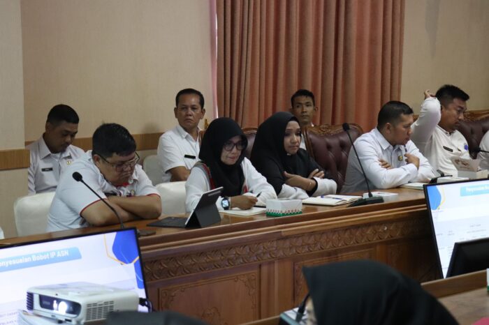 Read more about the article Dorong Peningkatan Nilai IP ASN, Sekdis Kominfo Natuna Ikuti Sosialisasi Pengukuran IP ASN