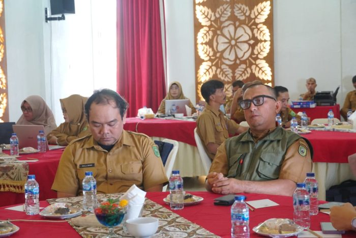Read more about the article Diskominfo Natuna Ikuti Kegiatan Peningkatan Kapasitas Tim Koordinasi dan Pengelola Data Monev Stunting Natuna