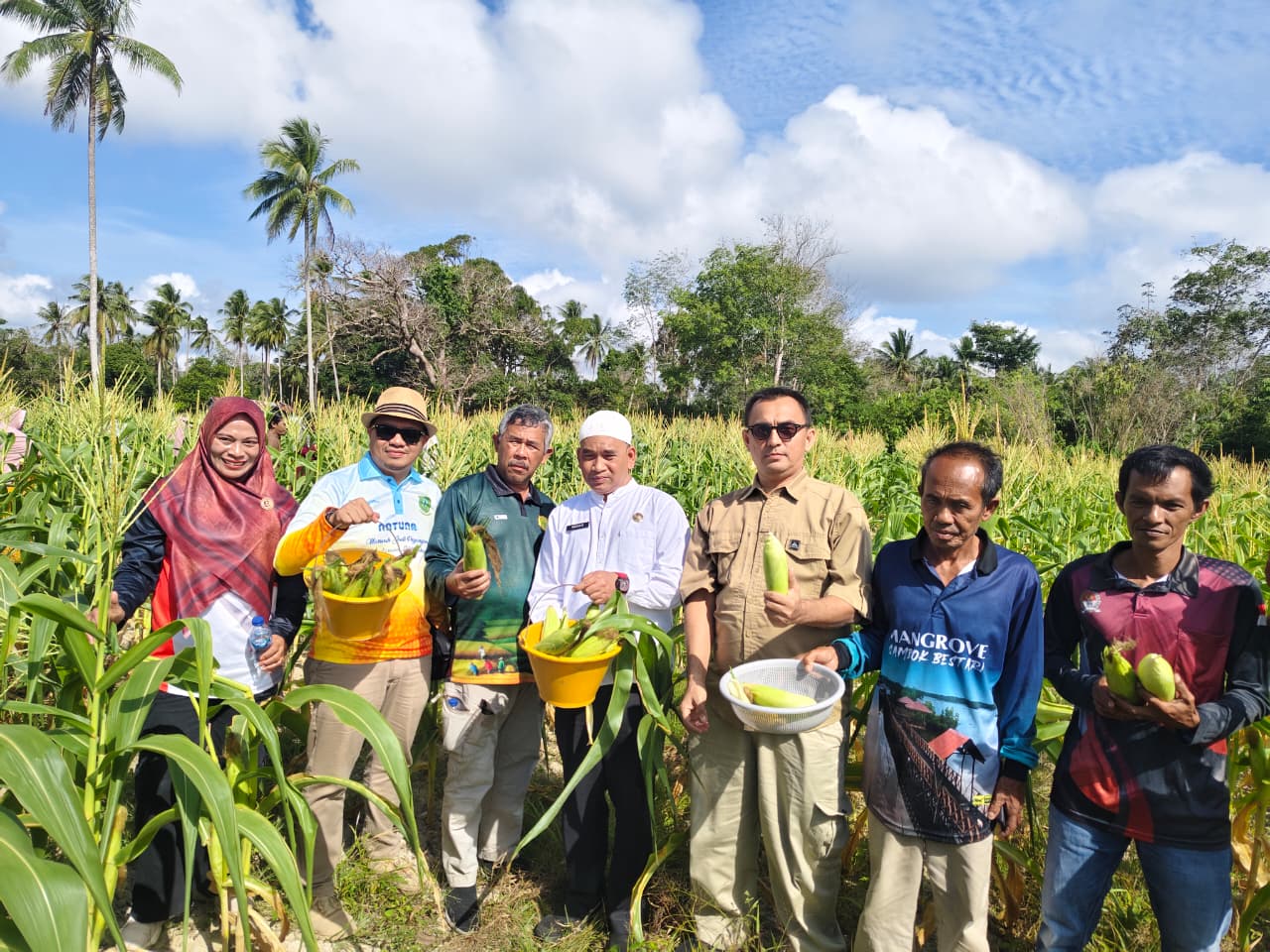 You are currently viewing Kabid PIKP Diskominfo Hadiri Panen Raya Jagung Desa Batu Gajah